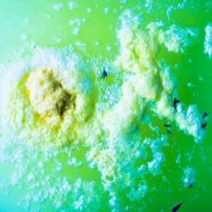 Does Diatomaceous Earth with calcium bentonite Really Kill Fleas?