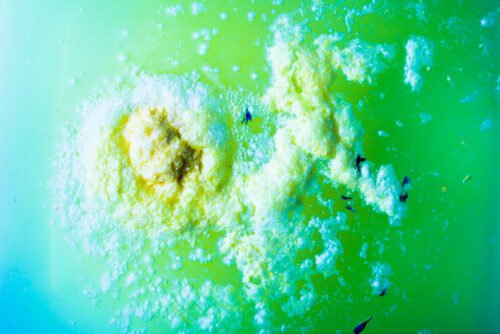 Does Diatomaceous Earth with calcium bentonite Really Kill Fleas?