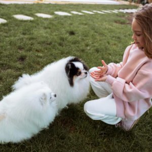 7 Benefits of Calcium Bentonite Clay for Dogs’ Health