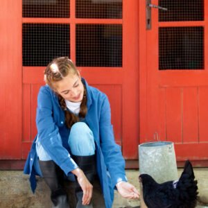 Is calcium bentonite good for chickens?