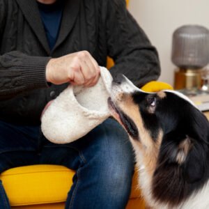 Is Bentonite Clay a Safe Natural Remedy for Dogs?