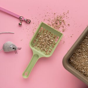 Is Bentonite Cat Litter Safe?