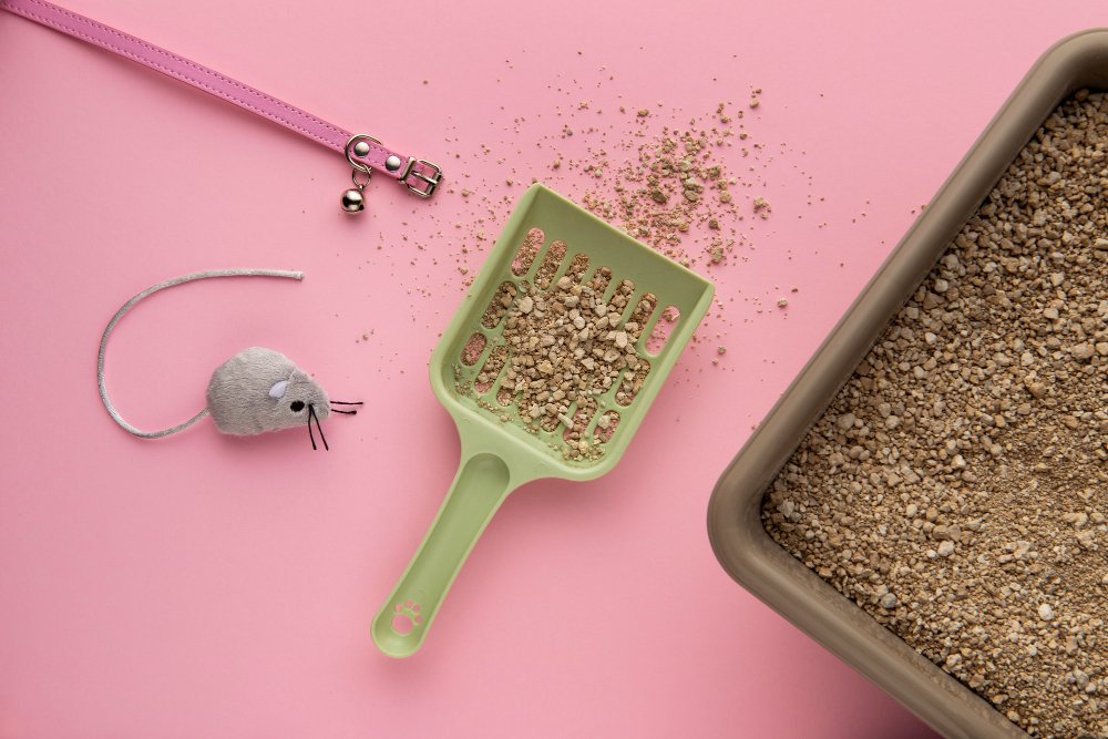 Is Bentonite Cat Litter Safe?