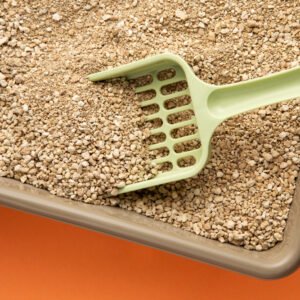Bentonite or Mineral Litter for Kitty