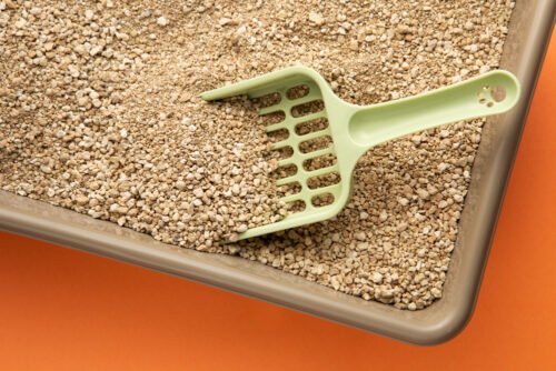 Bentonite or Mineral Litter for Kitty
