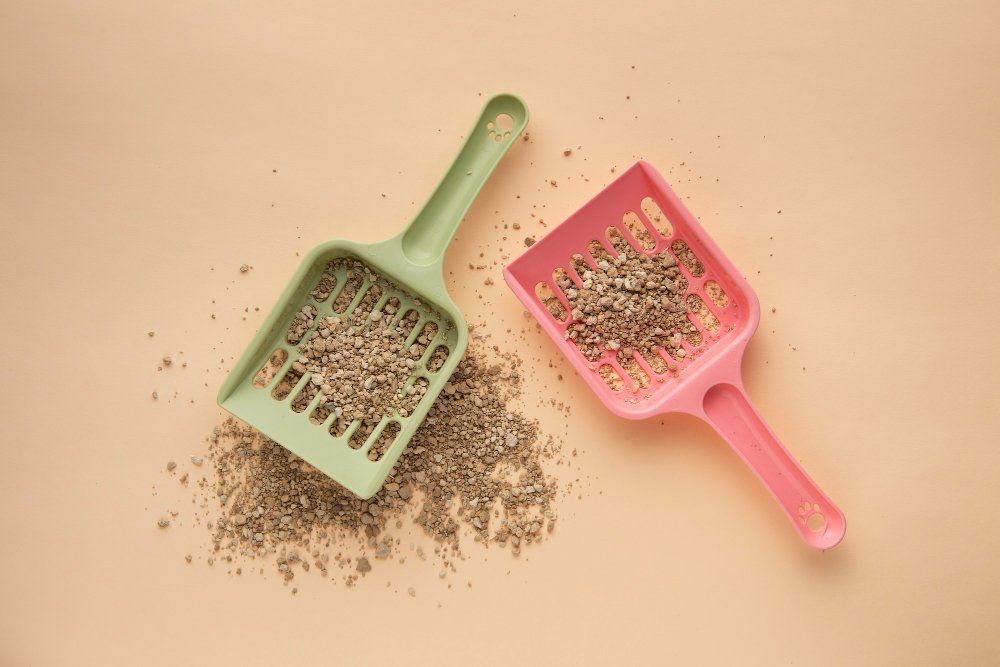 What is Bentonite Sand Litter?