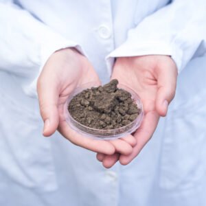 Bentonite Sulphur Fertilizer and its Uses