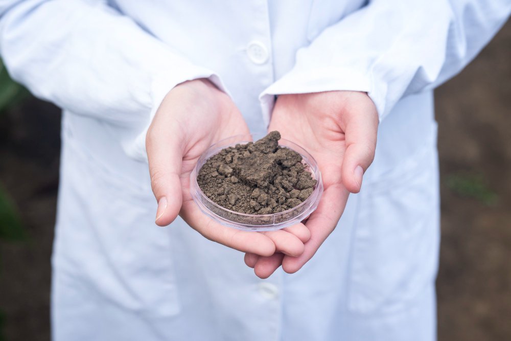 Bentonite Sulphur Fertilizer and its Uses