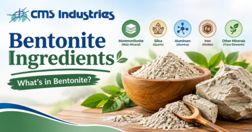 Bentonite Ingredients: Complete Guide on What’s in Bentonite