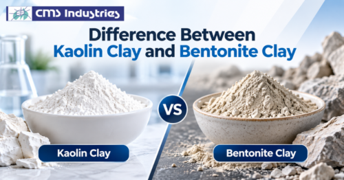 Difference Between Kaolin Clay and Bentonite Clay